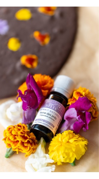 Nougatine maison amandes et reine des près